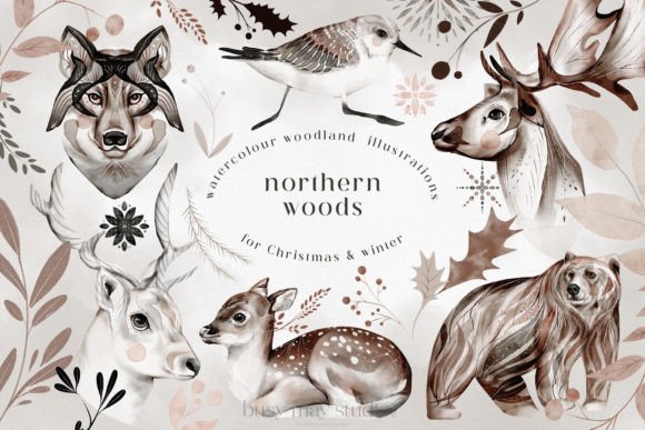 Winter Christmas Animals Birds Leaves Illustrations